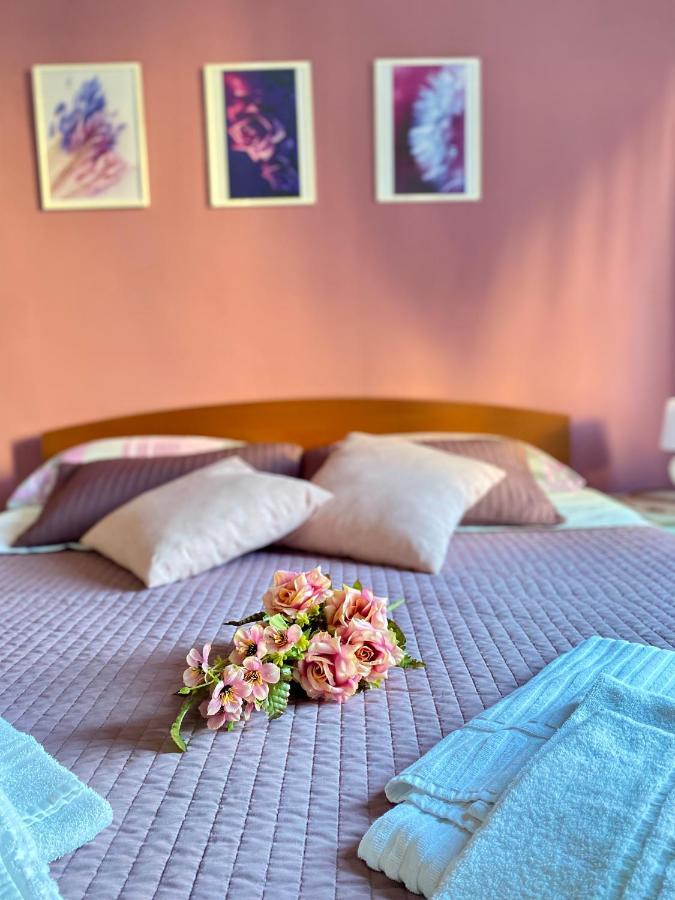 Appartement Dreams In - Colosseum *
